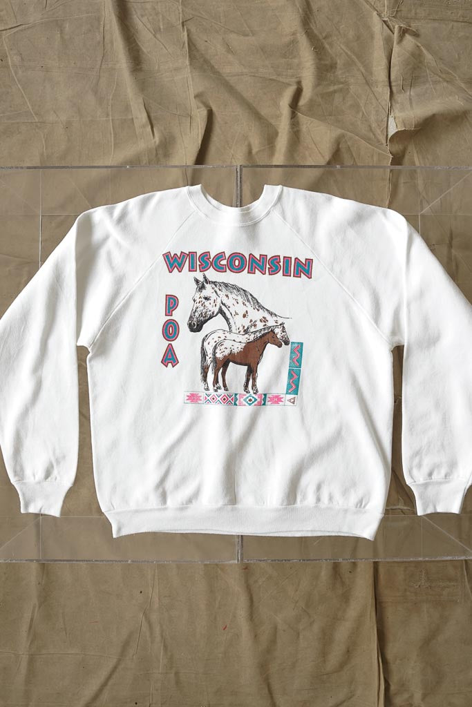 Vintage Hanes Winconsin crewneck taille L-XL